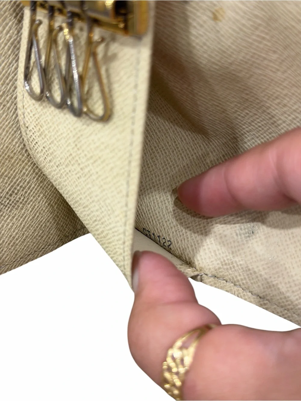 Louis Vuitton authentic louis